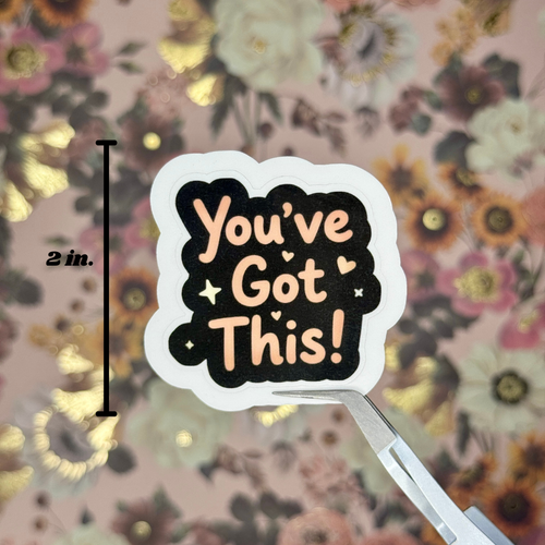 "You've Got This" Sticker